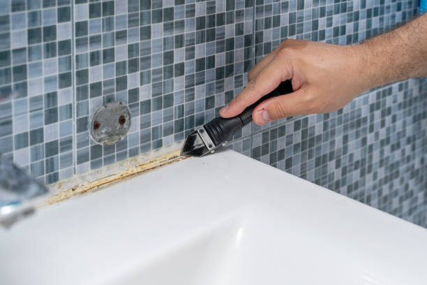 Best Mold Damage Repair  in Lacon, IL